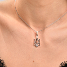 Срібна підіска "герб"