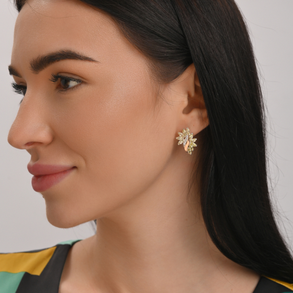 Срібні сережки з золотими вставками