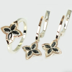 Серебряный набор с золотими пластинами