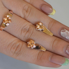 Серебряный гарнитур с золотыми пластинами