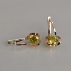 Серебряные серьги  с пластинами из золота