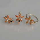 Срібний набір з золотими напайками