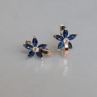 Срібні сережки з напайками із золота