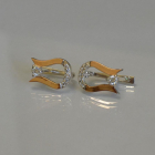 Срібні сережки з пластинами із золота