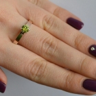 Срібна каблучка з золотими напайками