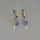 Срібні сережки з золотими напайками