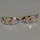 Сережки срібні з золотими вставками (пластинами)