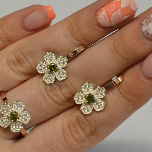 Набір срібний з золотими пластинами