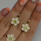 Набір срібний з золотими пластинами