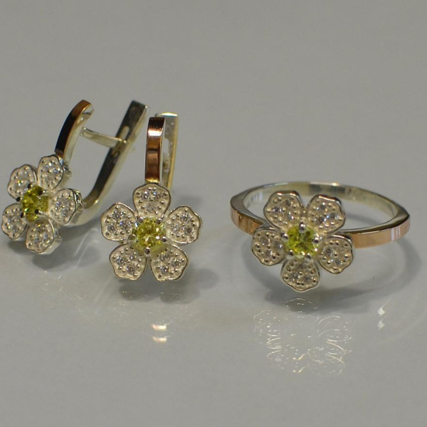 Набір срібний з золотими пластинами