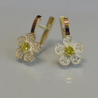 Серьги серебряные с золотыми пластинами