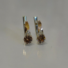 Срібні сережки з золотими вставками