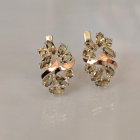 Срібні сережки з золотими накладками