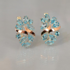 Срібні сережки з золотими накладками