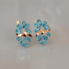 Срібні сережки з золотими накладками