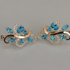 Срібні сережки з золотими вставками