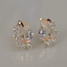 Срібні сережки з золотими накладками