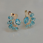 Срібні сережки з золотими накладками