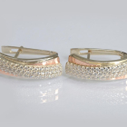 Срібні сережки з золотими вставками