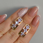 Срібні сережки з золотими вставками