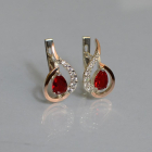 Срібні сережки з золотими вставками