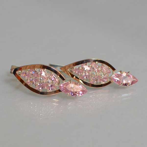 Срібні сережки з золотими вставками