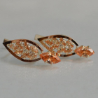 Срібні сережки з золотими вставками