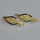 Срібні сережки з золотими вставками