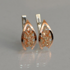 Срібні сережки з золотими вставками