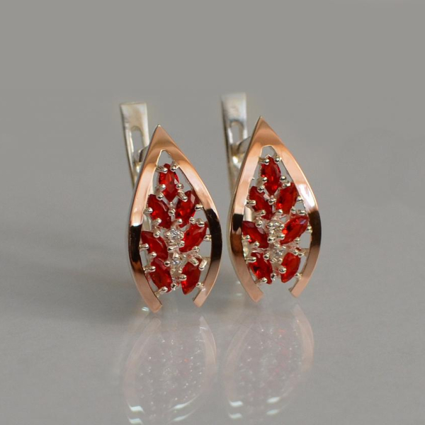 Срібні сережки з золотими вставками