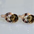 Срібні сережки з золотими пластинами