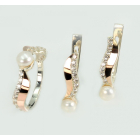 Срібний набір з золотими пластинами