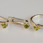 Серебряный набор с золотыми пластинами