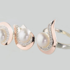 Серебряный набор с золотыми пластинами