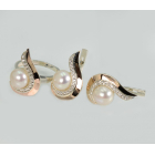 Серебряный набор с золотыми пластинами