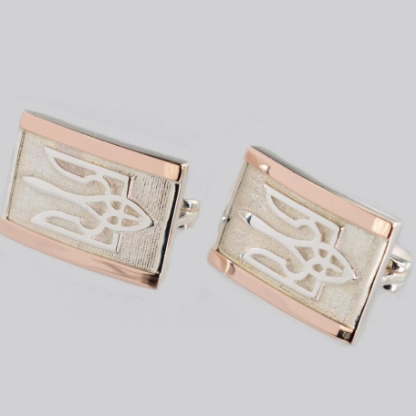 Срібні сережки з гербом України