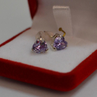 Срібні гвоздики з силіконовою застібкою