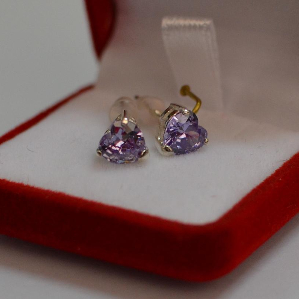 Срібні гвоздики з силіконовою застібкою