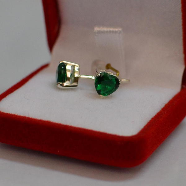 Срібні гвоздики з силіконовою застібкою