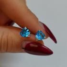 Срібні гвоздики з силіконовою застібкою