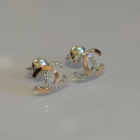 Сережки гвоздики