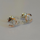 Сережки гвоздики