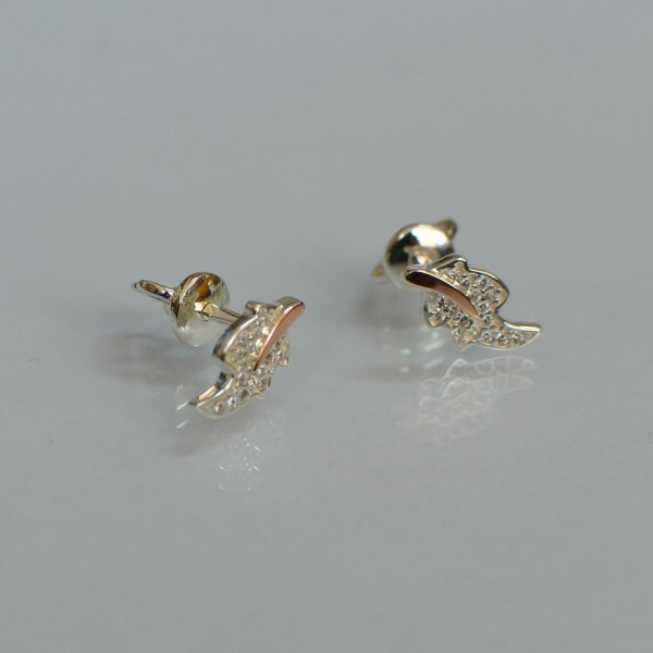 Сережки гвоздики