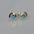 Сережки гвоздики