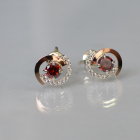 Сережки гвоздики