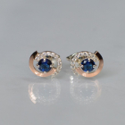 Сережки гвоздики