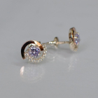 Сережки гвоздики