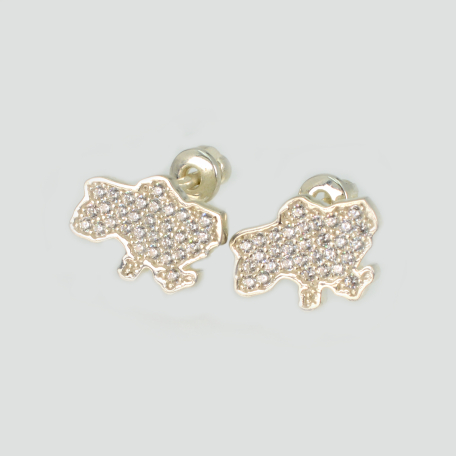 Серебряные пусеты карта Украины