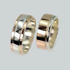 Пара срібних обручок