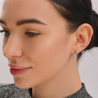 Сережки гвоздики